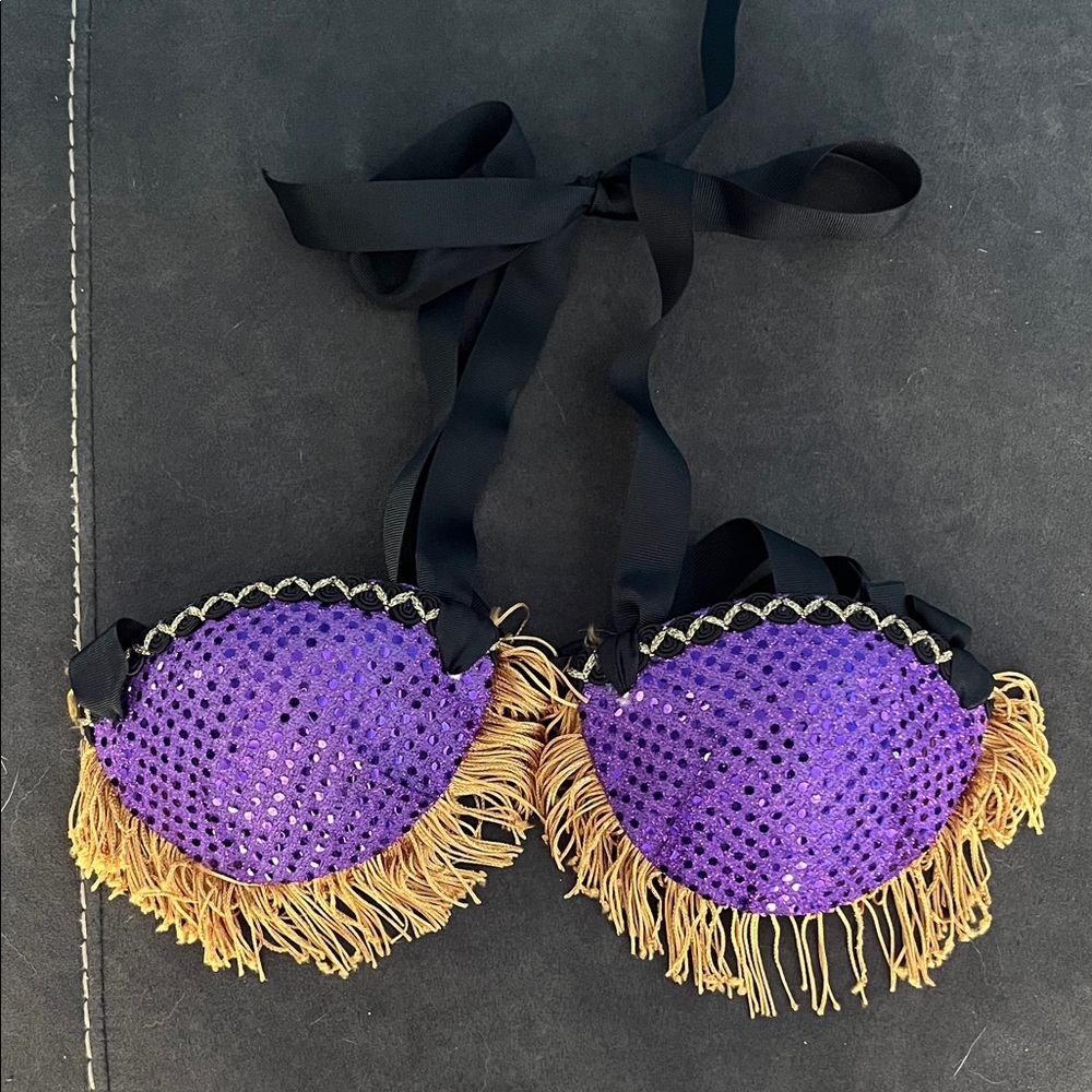 Purple Sequin Fringe Bra Top